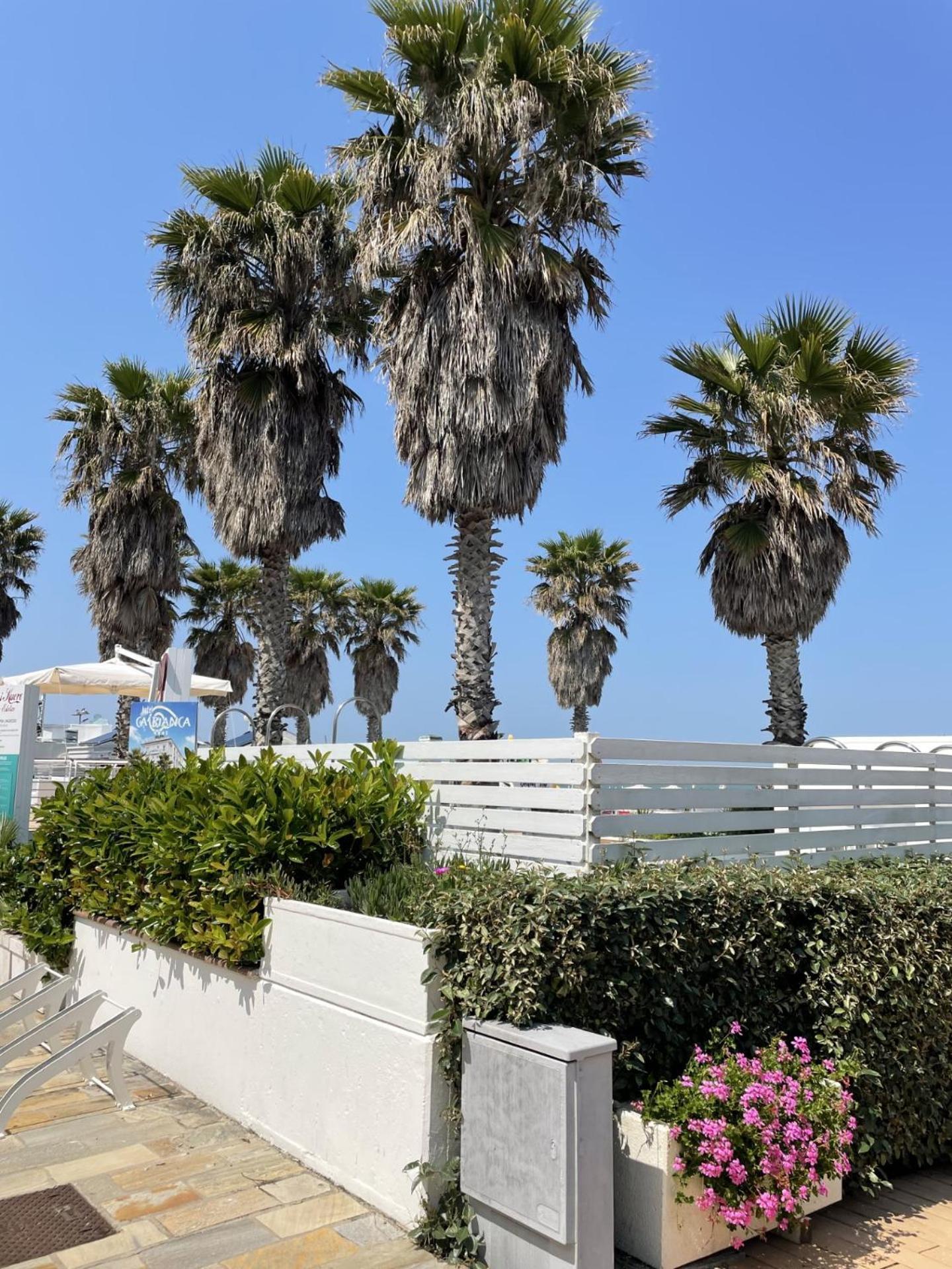 Hotel Napoleon Riccione Eksteriør bilde
